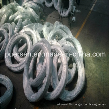 High Quality Electro Galvanized Wire